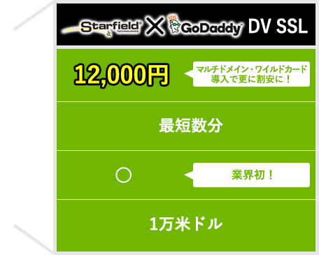 スターフィールド/Go Daddy 両用 DV SSL/TLS